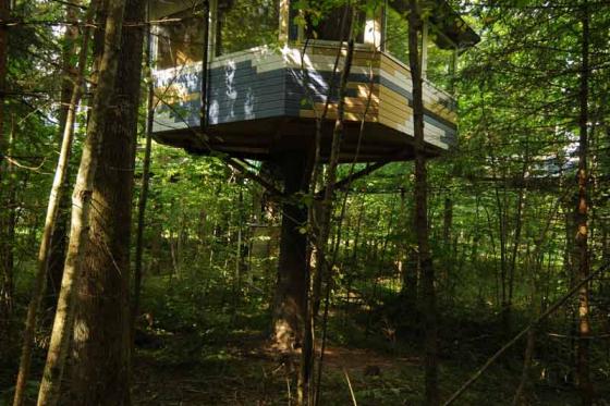 Baumhaus Übernachtung - für 2 Personen inkl. Frühstück 2 