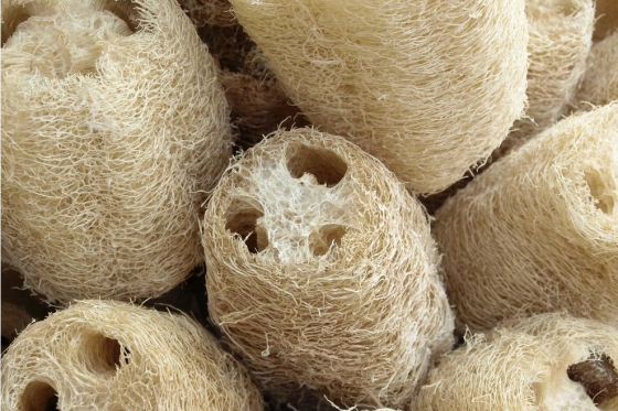 Soin de la Mer Morte - sel & boue 2 