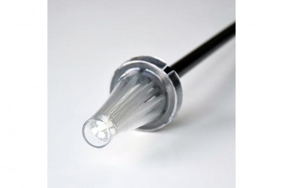 Spinnenfänger - Insektenfangen auf Knopfdruck 4 