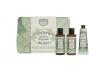 Jasmine Wellness-Set - 3er Panier des Sens 