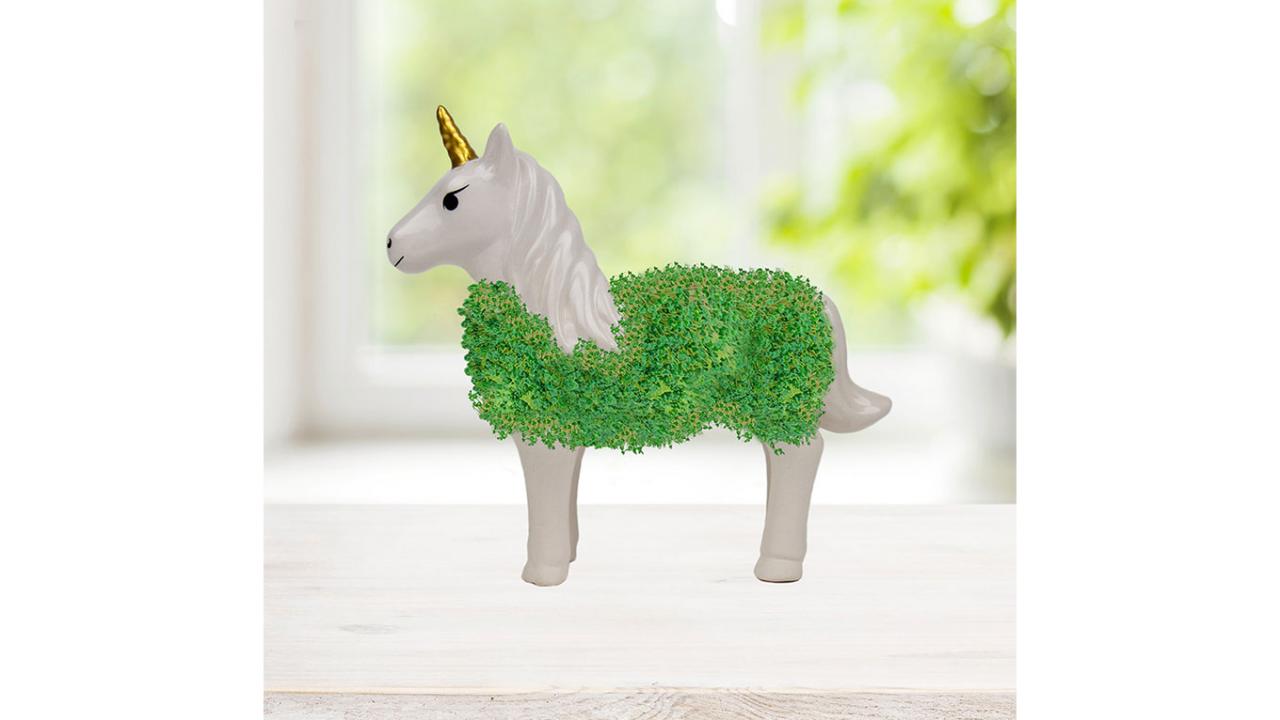 Kit Licorne DIY, set plante à faire pousser