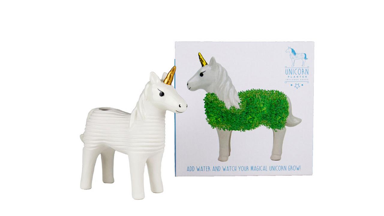 Kit Licorne DIY, set plante à faire pousser