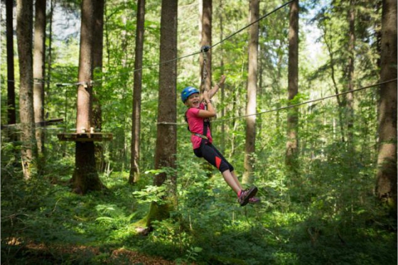 Seilpark Eintritt - Engelberg für 1 Person 4 