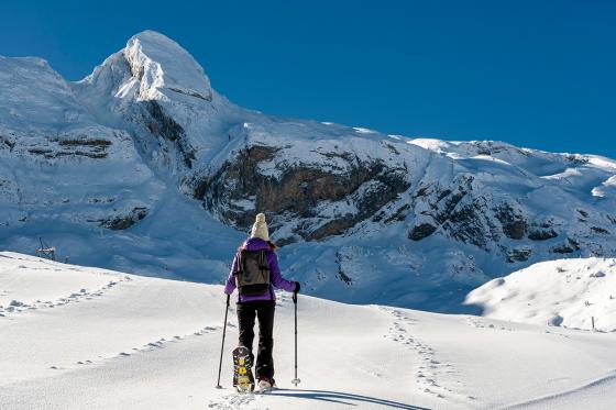 Fondue & Schneeschuhlaufen - in Davos oder Gstaad 9 