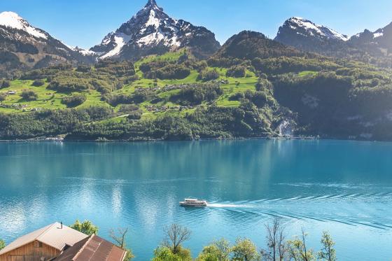 Mittagessen und Schifffahrt - am Walensee für 1 Person 6 
