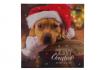 Adventskalender - Hundherum 2