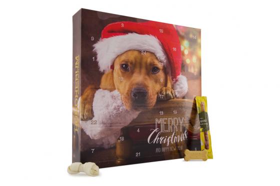 Calendrier de l’Avent - pour chien  