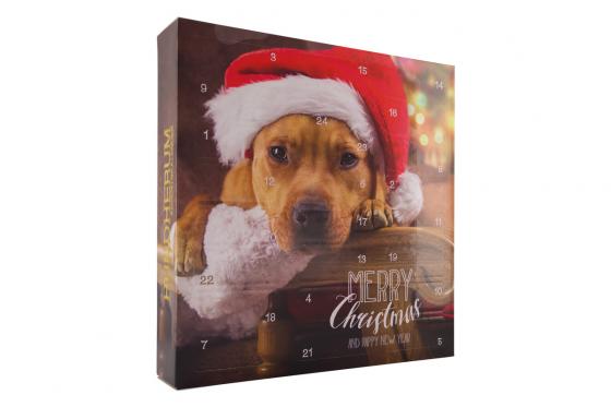 Calendrier de l’Avent - pour chien 1 