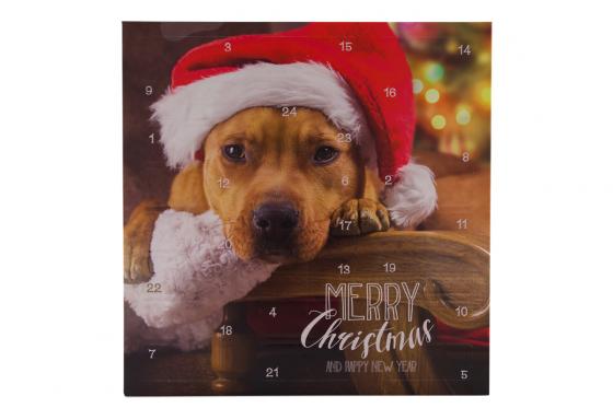 Calendrier de l’Avent - pour chien 2 