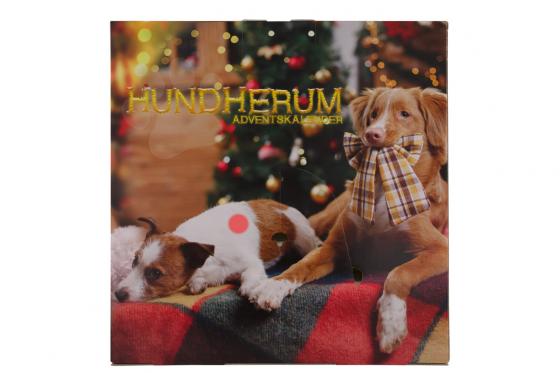 Calendrier de l’Avent - pour chien 3 