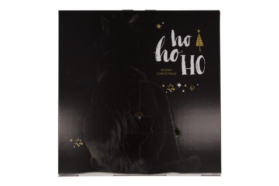 Katzen Adventskalender - Samtpfote 3 