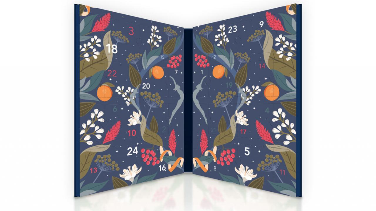 Premium Adventskalender Pukka Tee 24 Teebeutel 1