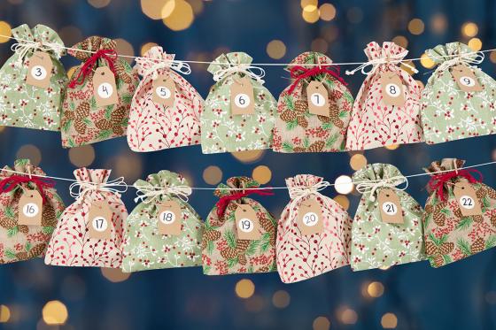 Calendrier de l'Avent Nature - à remplir  2 