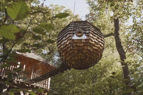 Soggiorno tra gli alberi  - 1 notte per 2 persone con colazione inclusa  