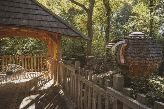 Soggiorno tra gli alberi  - 1 notte per 2 persone con colazione inclusa 1 