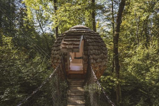 Soggiorno tra gli alberi  - 1 notte per 2 persone con colazione inclusa 3 