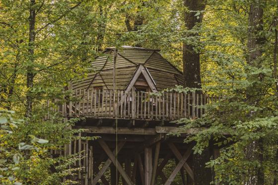 Familienbaumhaus-Übernachtung  - 1 Nacht für 5 Personen inkl. Frühstück 1 