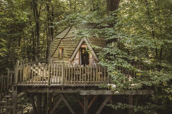 Familienbaumhaus-Übernachtung  - 1 Nacht für 5 Personen inkl. Frühstück 5 