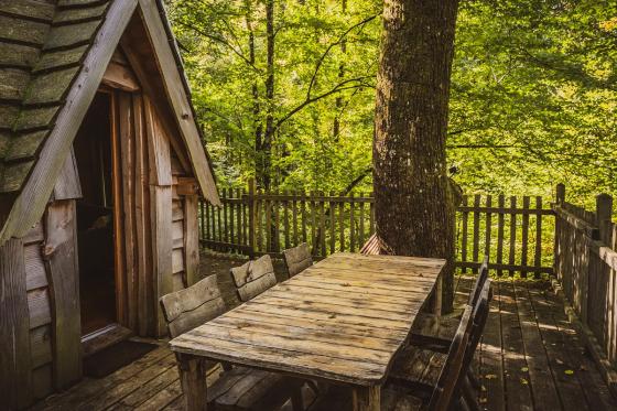 Familienbaumhaus-Übernachtung  - 1 Nacht für 5 Personen inkl. Frühstück 6 