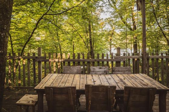 Familienbaumhaus-Übernachtung  - 1 Nacht für 5 Personen inkl. Frühstück 8 