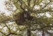 Soggiorno tra gli alberi - 1 notte per 2 persone con colazione inclusa 1