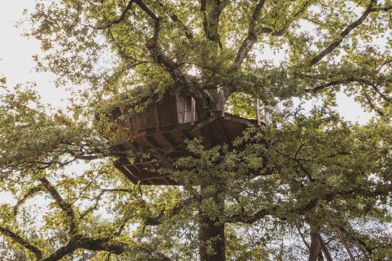 Séjour dans une cabane perchée  - 1 nuit pour 2 personnes avec petit déjeuner compris 1  Séjour dans une cabane perchée  - 1 nuit pour 2 personnes avec petit déjeuner compris 1