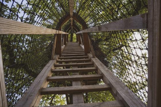 Séjour dans une cabane perchée  - 1 nuit pour 2 personnes avec petit déjeuner compris 6  Séjour dans une cabane perchée  - 1 nuit pour 2 personnes avec petit déjeuner compris 6