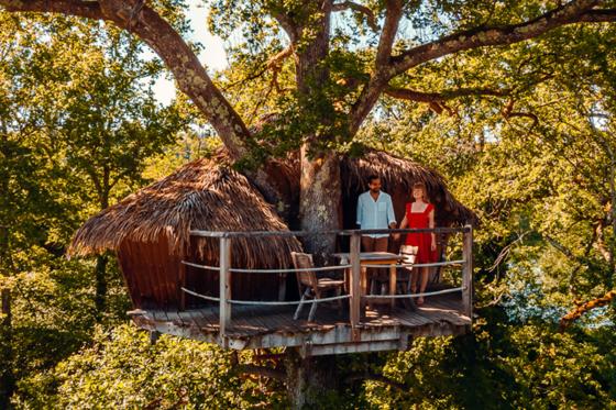 Séjour dans une cabane perchée  - 1 nuit pour 2 personnes avec petit déjeuner compris 8  Séjour dans une cabane perchée  - 1 nuit pour 2 personnes avec petit déjeuner compris 8