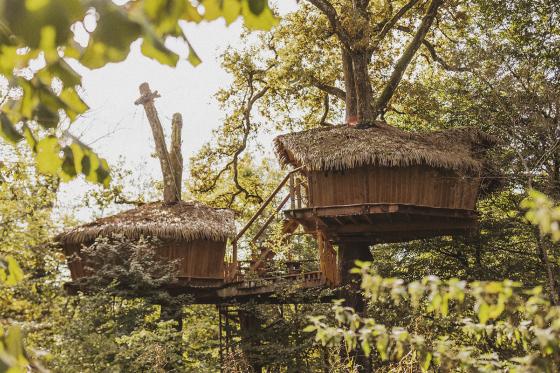 Cabane perchée en famille - 1 nuit pour 7 personnes avec petit déjeuner compris  