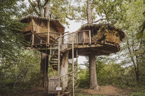 Cabane perchée en famille - 1 nuit pour 7 personnes avec petit déjeuner compris 3 