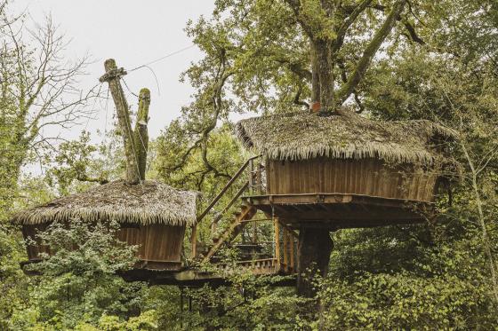 Cabane perchée en famille - 1 nuit pour 7 personnes avec petit déjeuner compris 6 