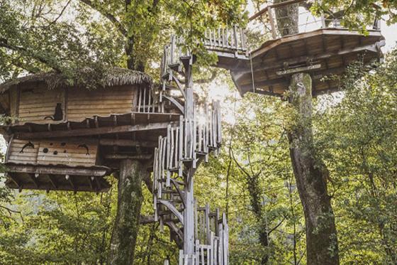 Cabane perchée en famille - 1 nuit pour 7 personnes avec petit déjeuner compris 11 