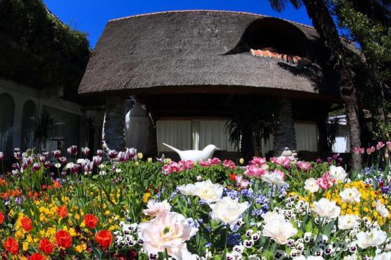 Karibik Feeling im Tessin - 1 Nacht im Hotel Albergo Losone 8 