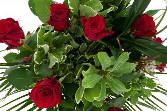 Bouquet de fleurs fraîches - Roses rouges - 12 roses (🚚 2 à 4 jours) 2 