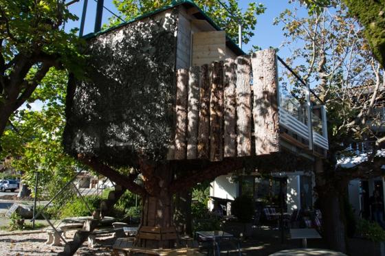 Baumhausübernachtung - mit ausfahrbarem Whirlpool, Frühstück & 4-Gang Abendessen 6 