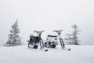 e-Mobility Snow in Engelberg - Schneetöff und MoonBike selber fahren | 1 Person 3