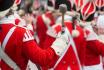 Rosenmontagszug in Köln - inkl. Frühstück und 2 Übernachtungen 