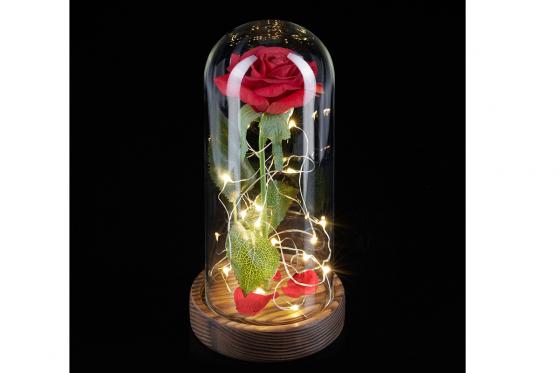 Ewige Rose im Glas - mit Licht  