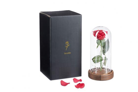 Ewige Rose im Glas - mit Licht 1 