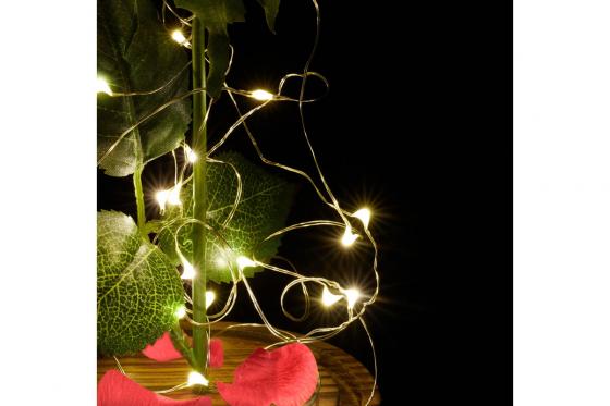 Ewige Rose im Glas - mit Licht 4 