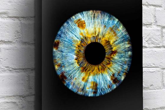 Iris Fotografie - 30x30cm auf Acrylglas, für eine Person 1 