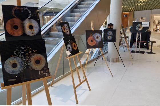 Iris Fotografie - 30x30cm auf Acrylglas, für eine Person 10 