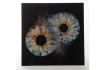 Photo d'iris pour couple - 40x40cm, sur verre acrylique avec effet explosion 2