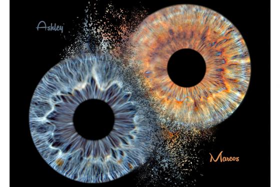 Iris Paar Fotografie - 40x40cm, auf Acrylglas mit Explosions Effekt 1 