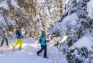 Schneeschuhtour im Mythengebiet - inkl. Fondue und kurze Schlittelabfahrt 4