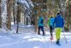 Schneeschuhtour im Mythengebiet - inkl. Fondue und kurze Schlittelabfahrt 5