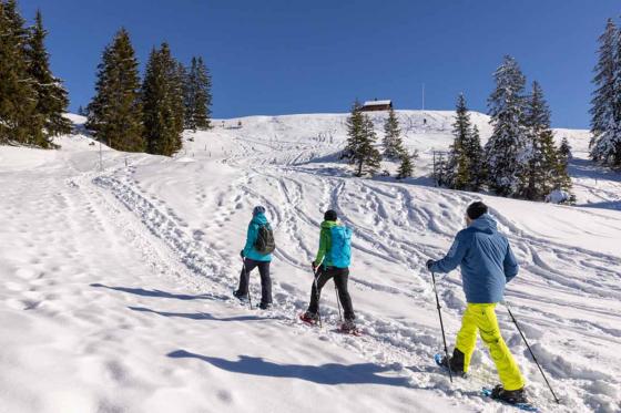 Schneeschuhtour im Mythengebiet - inkl. Fondue und kurze Schlittelabfahrt  