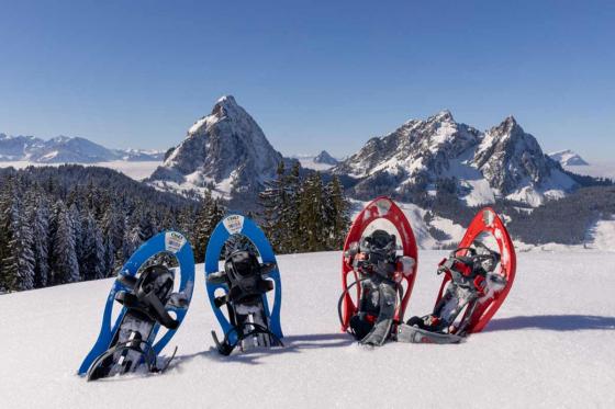 Schneeschuhtour im Mythengebiet - inkl. Fondue und kurze Schlittelabfahrt 2 