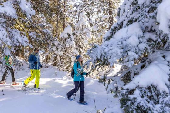 Schneeschuhtour im Mythengebiet - inkl. Fondue und kurze Schlittelabfahrt 4 