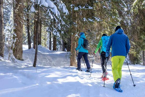 Schneeschuhtour im Mythengebiet - inkl. Fondue und kurze Schlittelabfahrt 5 